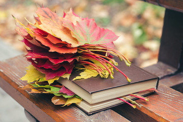 A book with leaves embedded in it lies on a bench in the park in autumn