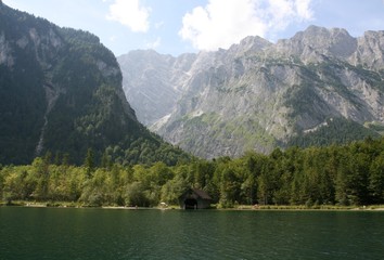 Fototapeta na wymiar Alpes en verano