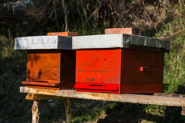 Wooden hive for bees, beekeeping, honey, health, healthy life