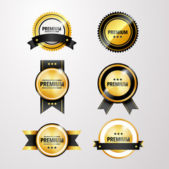 Vector illustration, set of premium quality sparkling golden labels