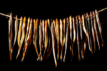 A number of baltic herring on a rope on black background.