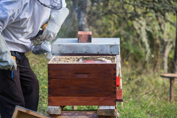 Wooden hive for bees, beekeeping, honey, health, healthy life