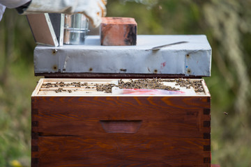 Wooden hive for bees, beekeeping, honey, health, healthy life