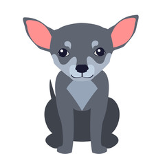 Cute Chihuahua Dog Cartoon Flat Vector Icon