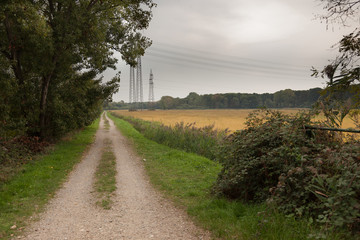 strada sterrata in campagna in autunno