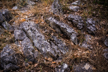 stones in the grass