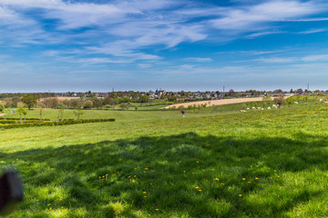 Dutch Countryside green meadow blue sky