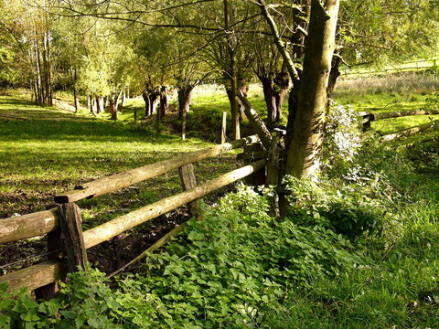 Viehweide im Herbst mit altem Holzgatter im Naturschutzgebiet am Gr&uuml;tebach im Sonnenschein zwischen Oerlinghausen und Asemissen bei Bielefeld im Teutoburger Wald in Ostwestfalen-Lippe