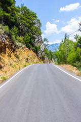 Fototapeta premium travel background - forest road in mountains