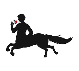 A man with a horse's body