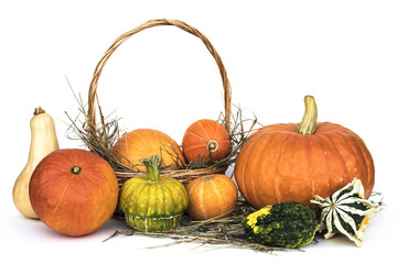 Harvest pumpkins lying in the manger and in a basket on a white background.