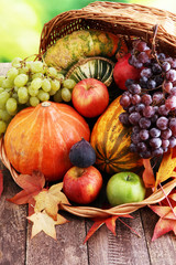 Autumn nature concept. Fall fruit and vegetables on wood. Thanksgiving dinner. © beats_