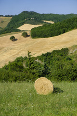 Landscape in Montefeltro near Urbania (Marches, Italy)