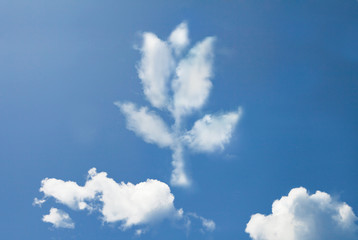 Tulip Flower Cloud shape form.
