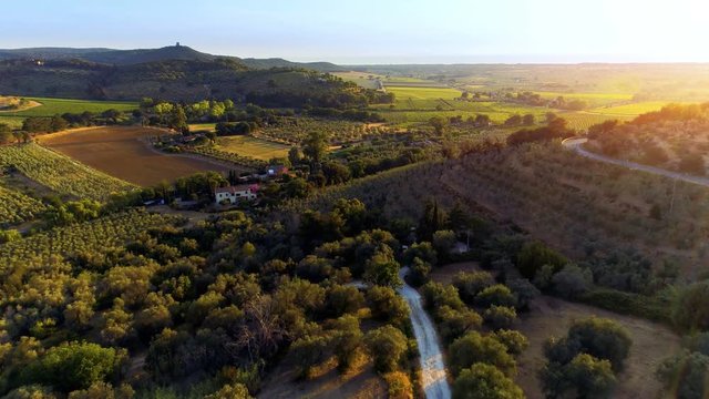 Aerial Shot of the Beautiful Italian Countryside with it's Farms, Vineyards, Olive Trees, Forests, Hills and Fields.Shot on a Camera in 4K (UHD).