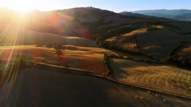 Moving Aerial Shot of the Harvested Fields, Trees and Hills. Grand Scale View with Beautiful Colors Lit by Setting Sun.Shot on a Camera in 4K (UHD).