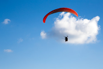 Paraglider flies in the blue sky.