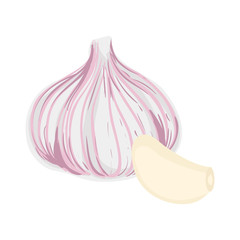 Colorful illustration of garlic