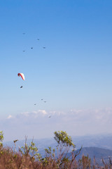 Paraglider flies in the blue sky.