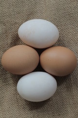 duck eggs and hen's eggs