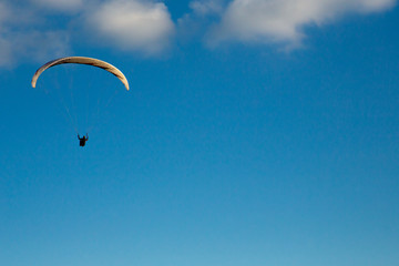 Paraglider flies in the blue sky.