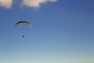 Paraglider flies in the blue sky.