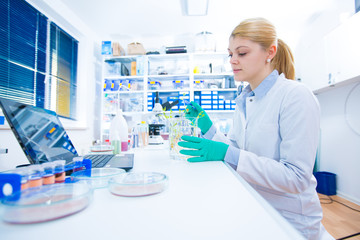 Fototapeta premium Experiment with genetically modified plants. Young woman laboratory assistant at the Laboratory of Plant Genetics GMO