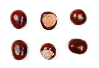 Brown chestnuts isolated on white background, top view