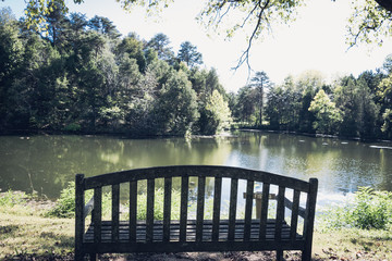Bench in Front of Pond
