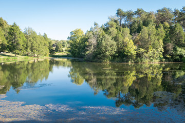 Fototapeta na wymiar Pond Reflection