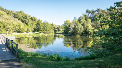 Fototapeta na wymiar Pond Reflection