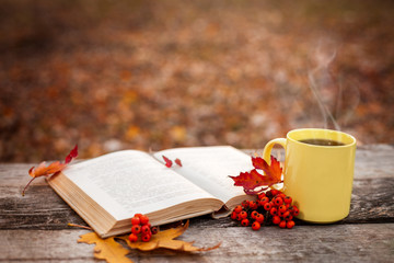 Book with open pages and cup with hot tea and red berries