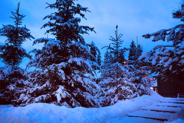 A fairy-tale house in the woods amid the snow-covered fir trees, Christmas landscape. Winter nature.