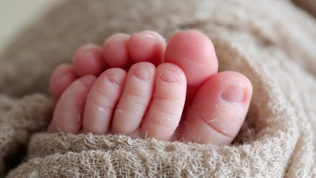 Little feet of a newborn