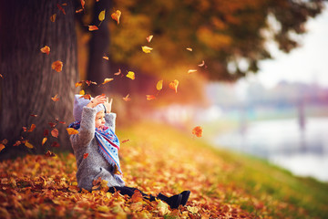 adorable happy baby girl catching the fallen leaves, playing in the autumn park