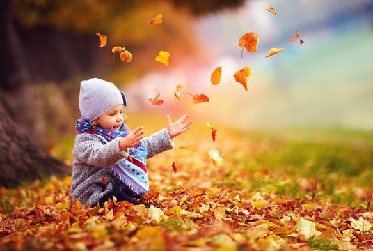 adorable happy baby girl catching the fallen leaves, playing in the autumn park