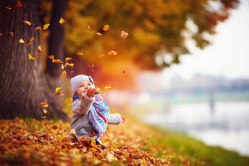 adorable happy baby girl catching the fallen leaves, playing in the autumn park