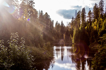 snow, winter, forest, tree, cold, landscape, nature, mountain, trees, white, sky, frost, season, blue, ice, wood, pine, fir, frozen, park, christmas, ski, outdoor, snowy, road