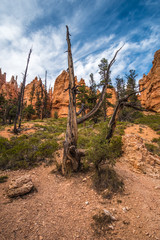 Bryce Canyon National Park