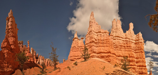 Hoodoos of Bryce canyon