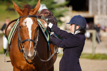 Rider with his horse