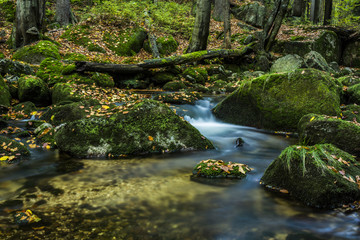 Waterfall falling on stones through autumn forest. Fall nature specification. Stones along and in the river in forest.