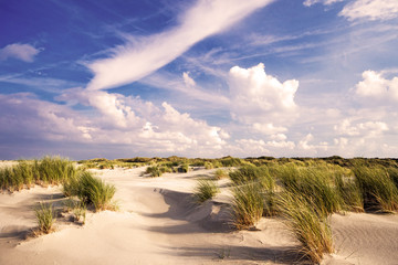 Nordsee, Deutsche Küste, Strand auf Langenoog: Dünen, Meer, Entspannung, Ruhe, Erholung, Ferien,...