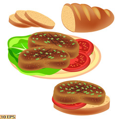 Fried cutlet. Meatballs and bread. The roasted steak on the plate isolated on white background. Meat rissoles, spices and green vegetables. Vector illustration for a recipe, restaurant menu, kitchen i