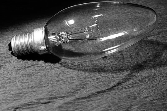Bulb black and white photo