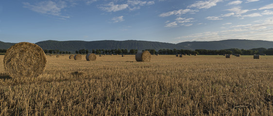 Field after harvest with straw bales