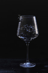 black currant in a glass. dark photo. splashing water