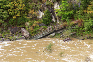  mountain river quickly passes among rocks and trees