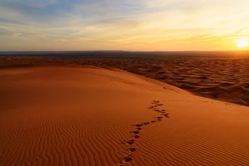  Sunrise in Erg Chebbi Sand dunes near Merzouga, Morocco © Elena Odareeva