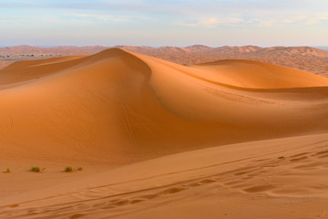 Erg Chebbi Sand dunes near Merzouga in the morning, Morocco